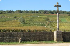 hp-vina-francie
