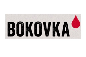 logo-bokovka