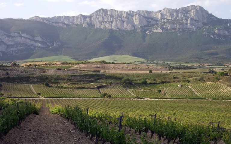 vinarstvi-garcia-de-olano6